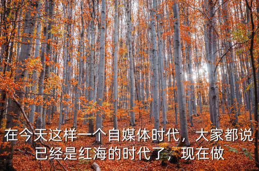 在今天這樣一個(gè)自媒體時(shí)代，大家都說已經(jīng)是紅海的時(shí)代了，現(xiàn)在做