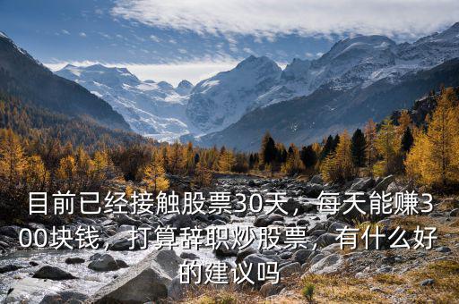目前已經(jīng)接觸股票30天，每天能賺300塊錢，打算辭職炒股票，有什么好的建議嗎
