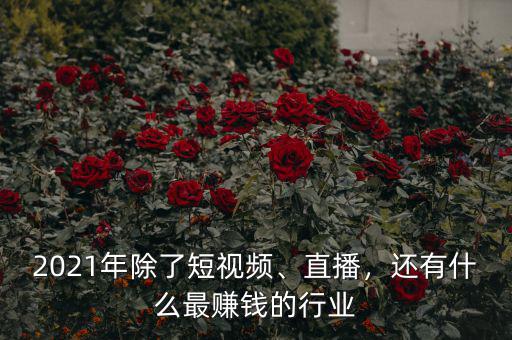 2021年除了短視頻、直播，還有什么最賺錢的行業(yè)