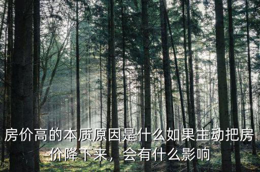 房價高的本質(zhì)原因是什么如果主動把房價降下來，會有什么影響