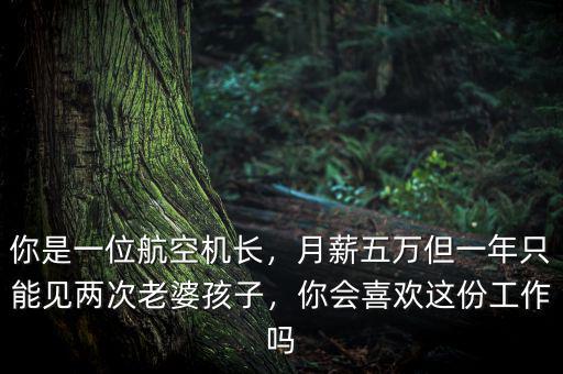 你是一位航空機(jī)長(zhǎng)，月薪五萬(wàn)但一年只能見(jiàn)兩次老婆孩子，你會(huì)喜歡這份工作嗎