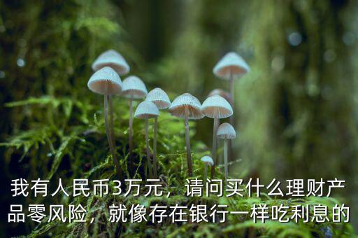 我有人民幣3萬元，請問買什么理財產(chǎn)品零風(fēng)險，就像存在銀行一樣吃利息的