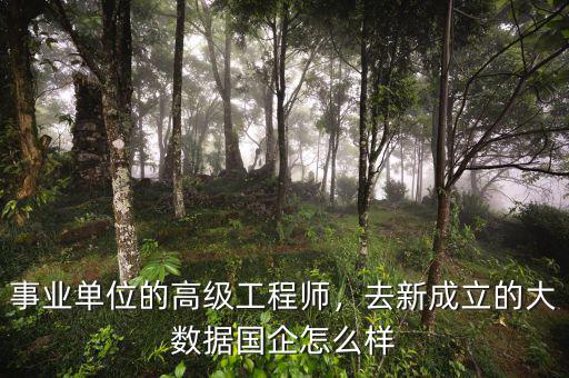 事業(yè)單位的高級(jí)工程師，去新成立的大數(shù)據(jù)國(guó)企怎么樣