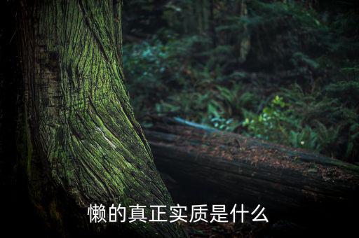 懶的真正實質(zhì)是什么