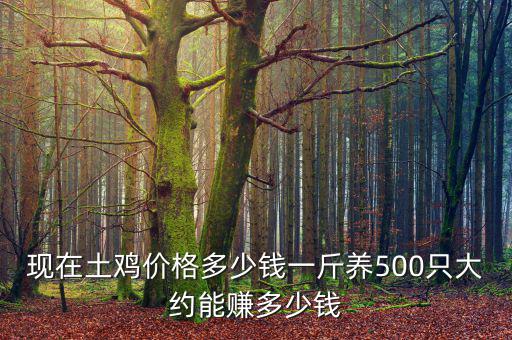 現在土雞價格多少錢一斤養(yǎng)500只大約能賺多少錢