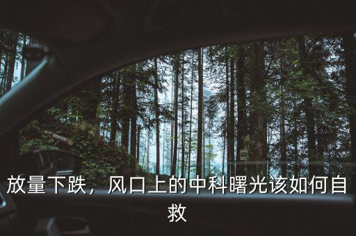 放量下跌，風(fēng)口上的中科曙光該如何自救
