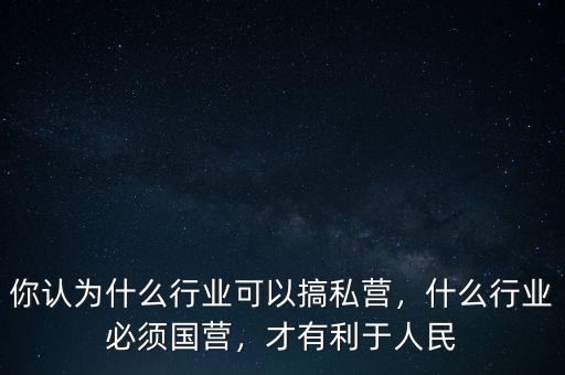 你認(rèn)為什么行業(yè)可以搞私營，什么行業(yè)必須國營，才有利于人民