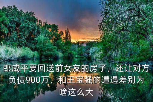 郎咸平要回送前女友的房子，還讓對方負債900萬，和王寶強的遭遇差別為啥這么大