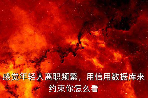 感覺年輕人離職頻繁，用信用數(shù)據(jù)庫來約束你怎么看