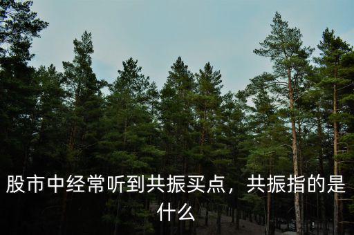 股市中經(jīng)常聽(tīng)到共振買(mǎi)點(diǎn)，共振指的是什么
