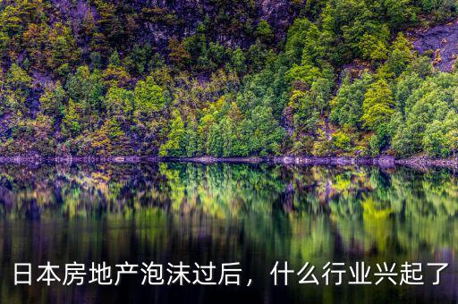 日本房地產(chǎn)泡沫過后，什么行業(yè)興起了