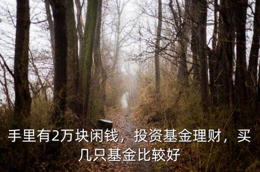 手里有2萬塊閑錢，投資基金理財，買幾只基金比較好