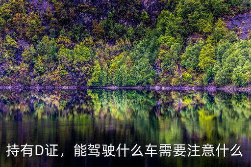 持有D證，能駕駛什么車需要注意什么