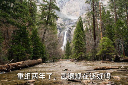 重組兩年了，武鋼現(xiàn)在還好嗎