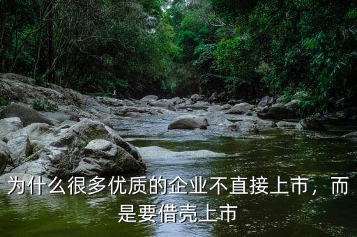為什么很多優(yōu)質的企業(yè)不直接上市，而是要借殼上市