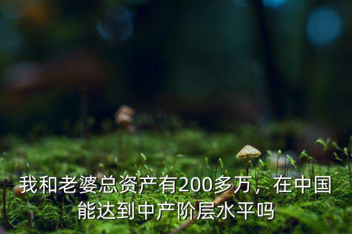我和老婆總資產(chǎn)有200多萬(wàn)，在中國(guó)能達(dá)到中產(chǎn)階層水平嗎
