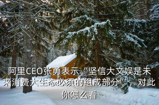阿里CEO張勇表示“堅信大文娛是未來消費大生態(tài)必須的組成部分”，對此你怎么看