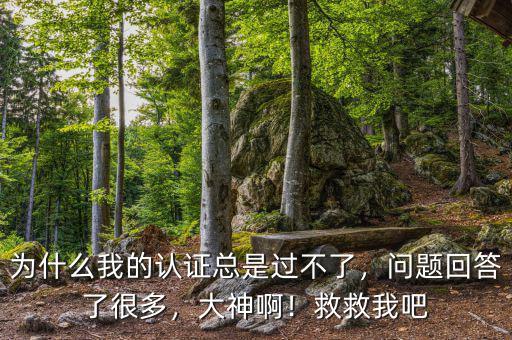 為什么我的認(rèn)證總是過不了，問題回答了很多，大神?。【染任野? class=