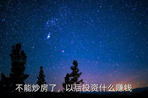 不能炒房了，以后投資什么賺錢