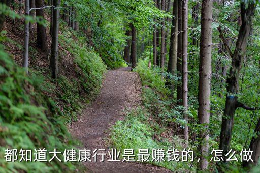 都知道大健康行業(yè)是最賺錢的，怎么做