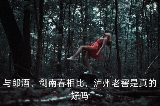 與郎酒、劍南春相比，瀘州老窖是真的好嗎