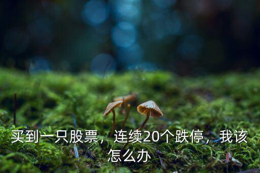 買到一只股票，連續(xù)20個(gè)跌停，我該怎么辦