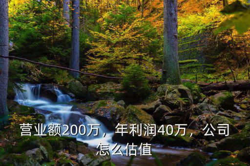 營業(yè)額200萬，年利潤40萬，公司怎么估值