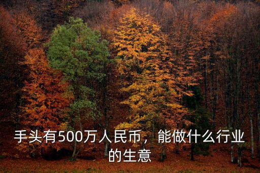 手頭有500萬人民幣，能做什么行業(yè)的生意