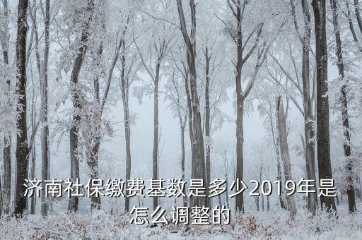 濟南社?；鶖?shù)怎么算,2019年是怎么調(diào)整的