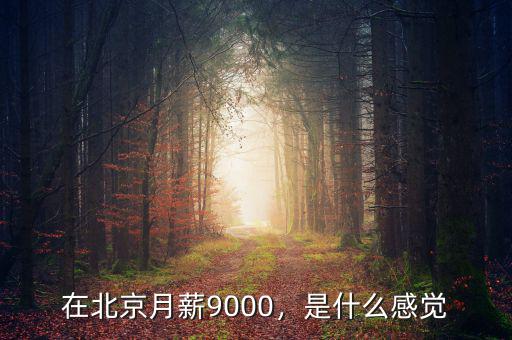北京生活開(kāi)銷最大的是什么,基本的生活開(kāi)銷大概要多少錢(qián)