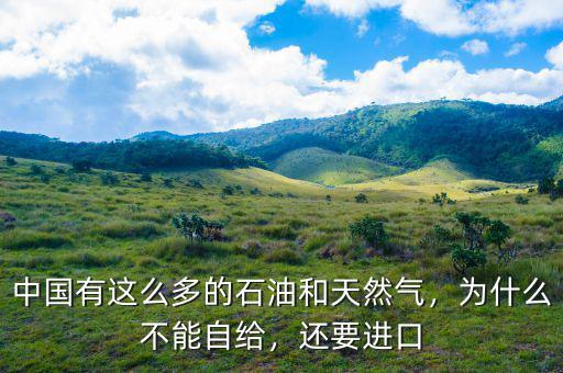 中國(guó)有這么多的石油和天然氣，為什么不能自給，還要進(jìn)口