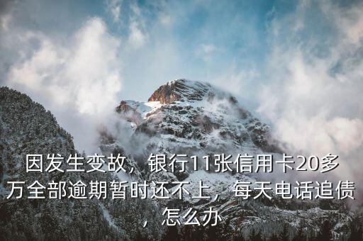 因發(fā)生變故，銀行11張信用卡20多萬全部逾期暫時還不上，每天電話追債，怎么辦