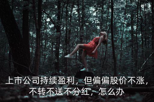 上市公司持續(xù)盈利，但偏偏股價(jià)不漲，不轉(zhuǎn)不送不分紅，怎么辦