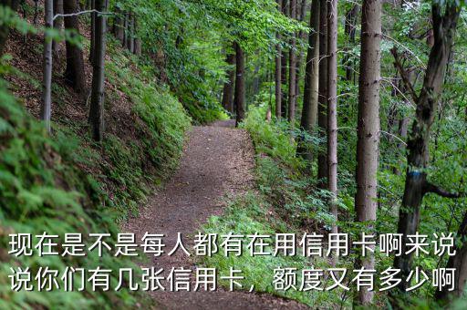 現(xiàn)在是不是每人都有在用信用卡啊來說說你們有幾張信用卡，額度又有多少啊