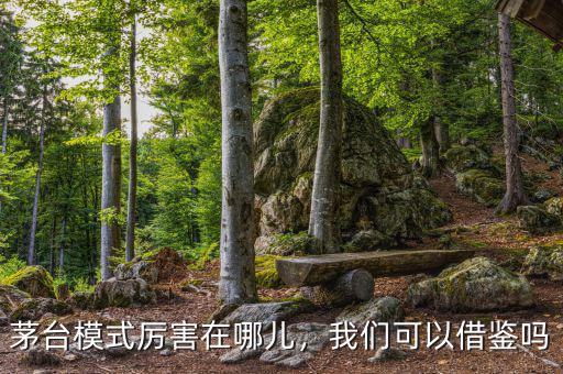 茅臺模式厲害在哪兒，我們可以借鑒嗎