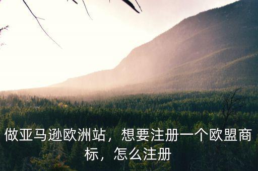 做亞馬遜歐洲站，想要注冊一個(gè)歐盟商標(biāo)，怎么注冊