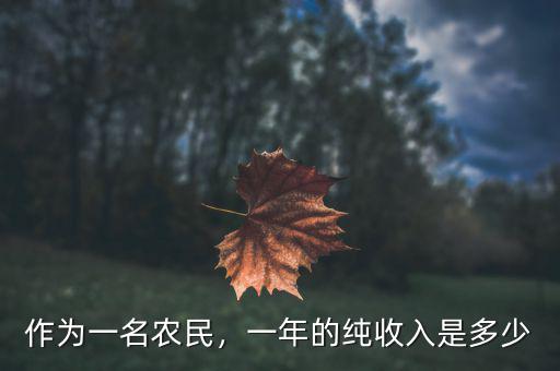 作為一名農(nóng)民，一年的純收入是多少