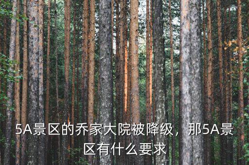 5A景區(qū)的喬家大院被降級(jí)，那5A景區(qū)有什么要求