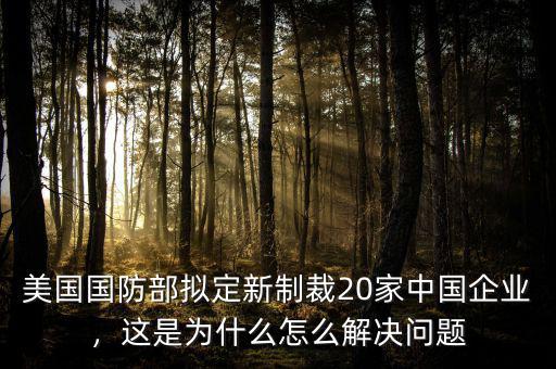 美國(guó)國(guó)防部擬定新制裁20家中國(guó)企業(yè)，這是為什么怎么解決問(wèn)題