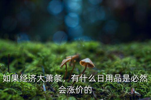 如果經(jīng)濟(jì)大蕭條，有什么日用品是必然會(huì)漲價(jià)的