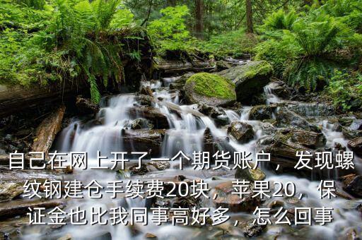 自己在網(wǎng)上開了一個期貨賬戶，發(fā)現(xiàn)螺紋鋼建倉手續(xù)費20塊，蘋果20，保證金也比我同事高好多，怎么回事