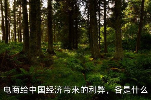電商給中國經(jīng)濟帶來的利弊，各是什么