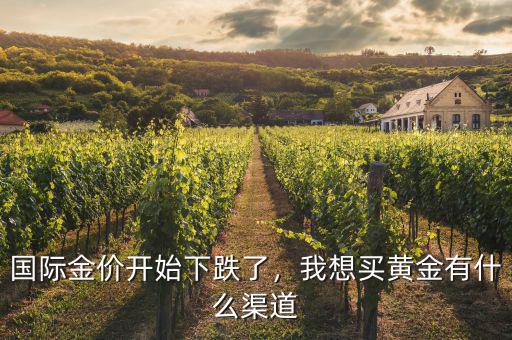 國際金價開始下跌了，我想買黃金有什么渠道