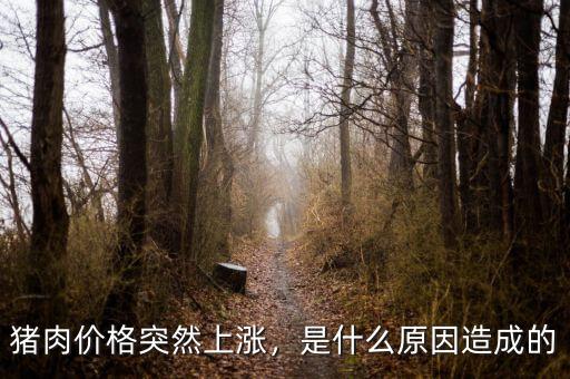 豬肉價(jià)格突然上漲，是什么原因造成的