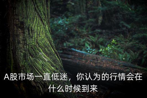 A股市場(chǎng)一直低迷，你認(rèn)為的行情會(huì)在什么時(shí)候到來(lái)