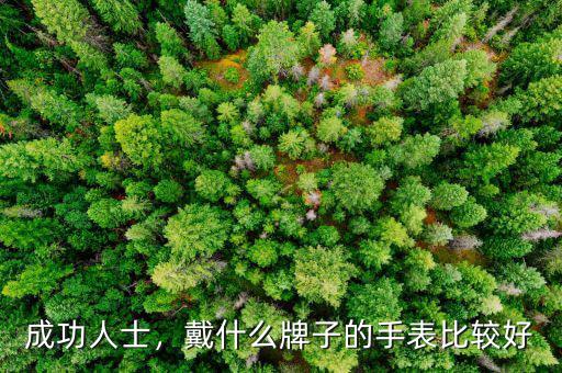 成功人士，戴什么牌子的手表比較好