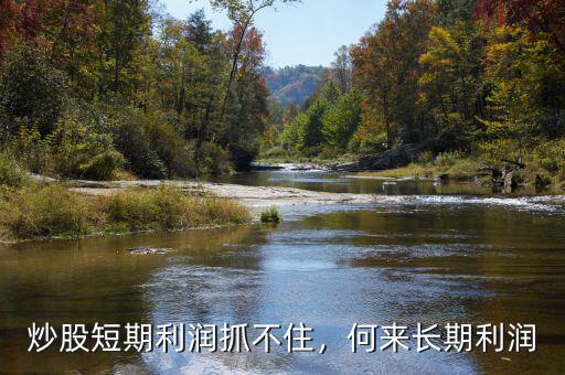 炒股短期利潤(rùn)抓不住，何來(lái)長(zhǎng)期利潤(rùn)