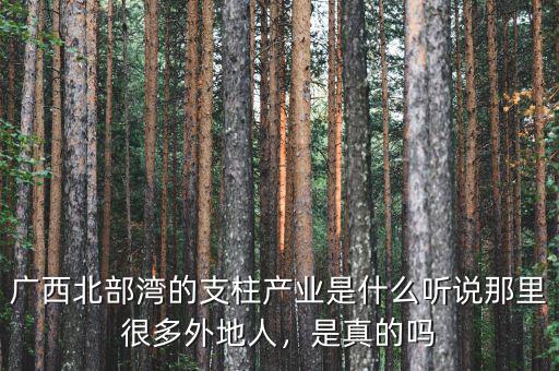 廣西北部灣的支柱產(chǎn)業(yè)是什么聽說那里很多外地人，是真的嗎
