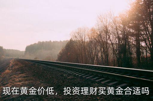 現(xiàn)在黃金價低，投資理財買黃金合適嗎