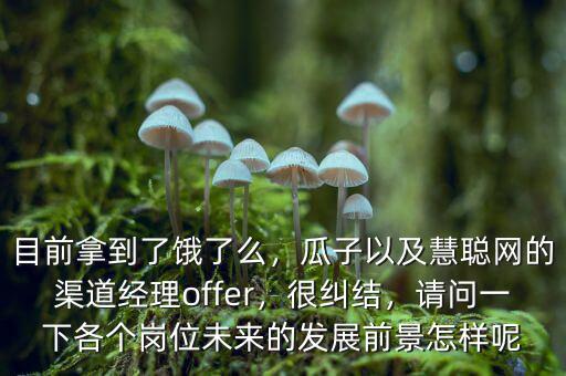 目前拿到了餓了么，瓜子以及慧聰網(wǎng)的渠道經(jīng)理offer，很糾結(jié)，請(qǐng)問(wèn)一下各個(gè)崗位未來(lái)的發(fā)展前景怎樣呢